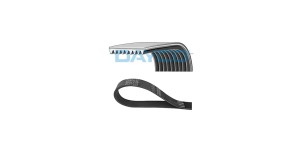 Polyrib_Belt_Claas_0000672890